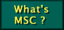 WHAT'S MSC ?